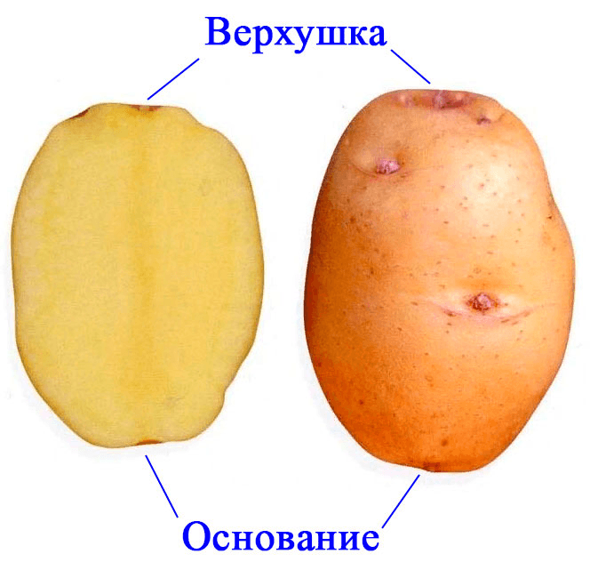 Решение рисунок 1