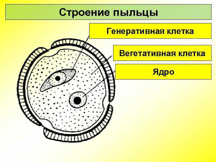 Решение рисунок 1