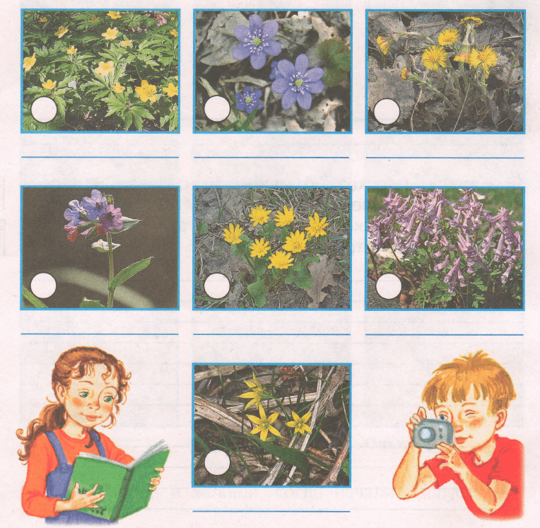 Задание рисунок 1