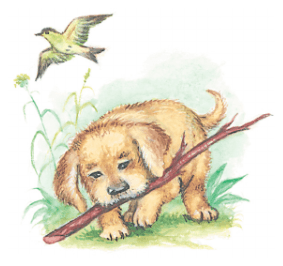 Задание рисунок 1